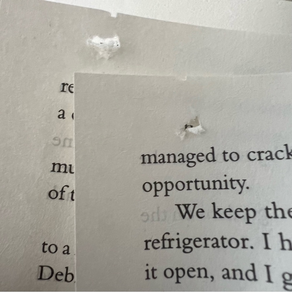 Freida McFadden 'Dear Debbie' Book - Picture 7 of 7